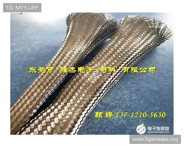 ag多福多财电子助你实现财源广进的梦想,全面解析其优势与使用技巧 ag多福多财电子助你实现财源广进的梦想,全面解析其优势与使用技巧